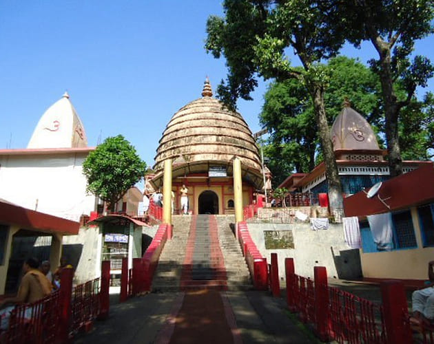 মন্দির কর্তৃপক্ষের বক্তব্য, বর্তমান যুগে এখানে এই ধরনের কোনও বেআইনি প্রথা পালন করা হয় না। তবে ছাগ ও মহিষবলি দেওয়া হয়। যা দক্ষিণাচার মতে হয়ে থাকে। কর্তৃপক্ষের মতে, নরবলির বেশির ভাগ ঘটনাই আসলে কুসংস্কারাচ্ছন্ন হত্যাকাণ্ড। যা মন্দিরের ধর্মীয় আচার-অনুষ্ঠানের অংশ নয়। (‘আনন্দ উৎসব ২০২৫’-এর সাফল্যের নেপথ্যে রয়েছেন একাধিক সহযোগী। প্রেজ়েন্টিং পার্টনার ‘মারুতি সুজ়ুকি অ্যারেনা’। অন্যান্য সহযোগীরা হলেন ওয়েডিং পার্টনার ‘এবিপি ওয়ানস্টপ ওয়েডিং’, ফ্যাশন পার্টনার ‘কসমো বাজ়ার’, নলেজ পার্টনার ‘টেকনো ইন্ডিয়া ইউনিভার্সিটি’, ব্যাঙ্কিং পার্টনার ‘ইউনিয়ন ব্যাঙ্ক অফ ইন্ডিয়া’, কমফোর্ট পার্টনার ‘কার্লন’)।  (এই প্রতিবেদনটি ‘আনন্দ উৎসব’ ফিচারের একটি অংশ)।