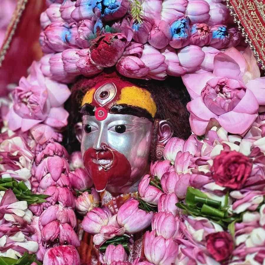 সংগৃহীত চিত্র।