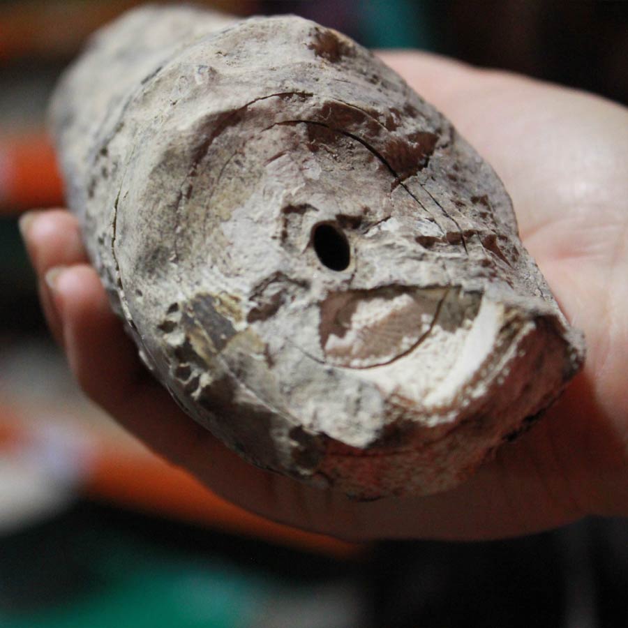 The Bom Jesus treasure