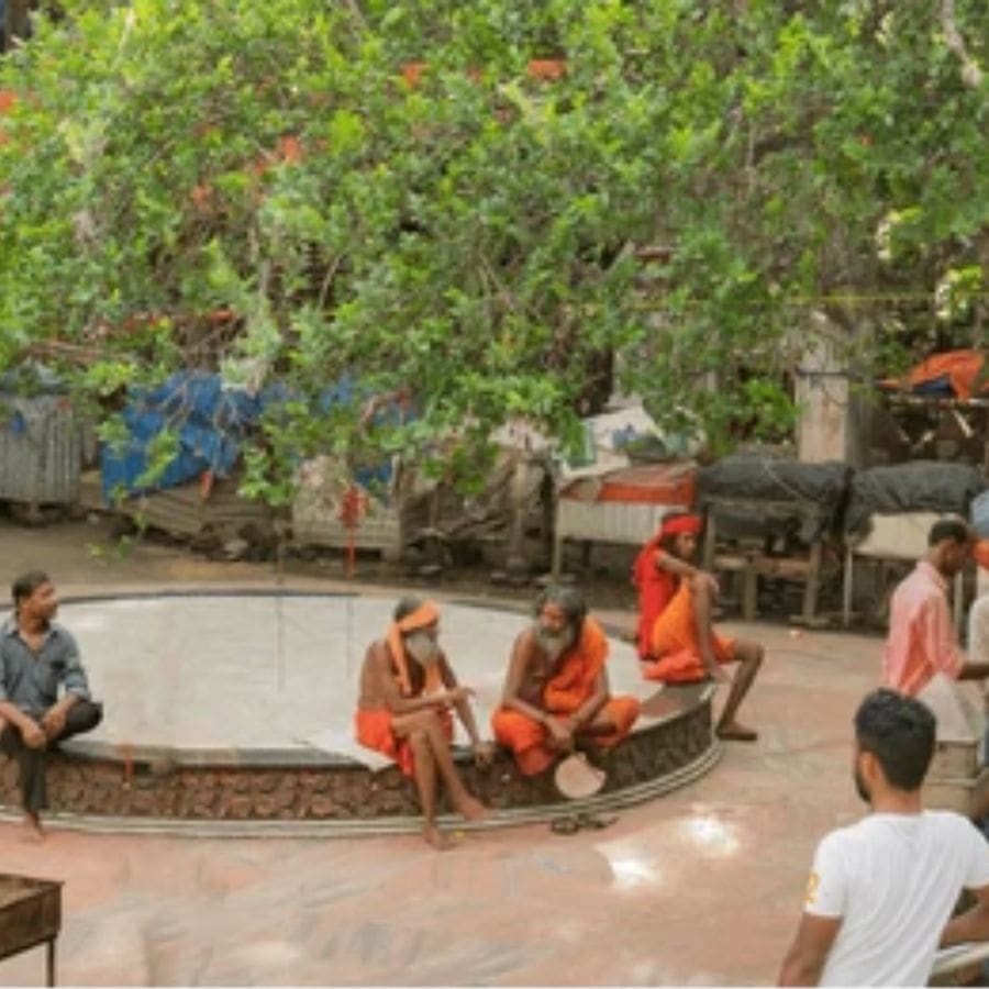 কোজাগরী পূর্ণিমার ঠিক আগের দিনেই তারাপীঠের মহিমা যেন ভিন্ন মাত্রা নেয়। কথিত, এই দিনেই তারাপীঠ মহাশ্মশানের শ্বেত শিমুল গাছের নীচে ঋষি বশিষ্ঠ খুঁজে পেয়েছিলেন দেবীর আদি শিলামূর্তি। কালের গর্ভে সেই মূর্তি তলিয়ে গেলেও জনশ্রুতি বলে, পাল রাজাদের সময়কালে জয়দত্ত সওদাগর স্বপ্নাদেশ পেয়ে শুক্লা চতুর্দশী তিথিতে তা উদ্ধার করে মন্দিরে প্রতিষ্ঠা করেন। পরে নাটোরের রানি তৈরি করেন বর্তমান মন্দির।