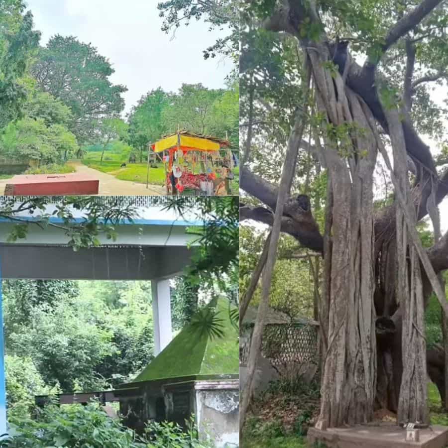 ভক্তদের ভক্তির সঙ্গে মিশে আছে এক অদ্ভুত শান্তি। আজও মন্দিরের সামনে সেই প্রাচীন বেদি, পাশে বয়ে চলেছে ব্রাহ্মণী নদী, আর দূরে মহশ্মশান। এই পরিবেশ ভক্তদের মনে এক গভীর ভক্তিভাব জাগিয়ে তোলে। প্রতি বছর আশ্বিন মাসের শুক্ল চতুর্দশী এবং মাঘ মাসের কৃষ্ণ চতুর্দশীতে এখানে বিশেষ পুজো হয়।