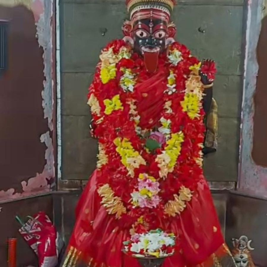 সংগৃহীত চিত্র।