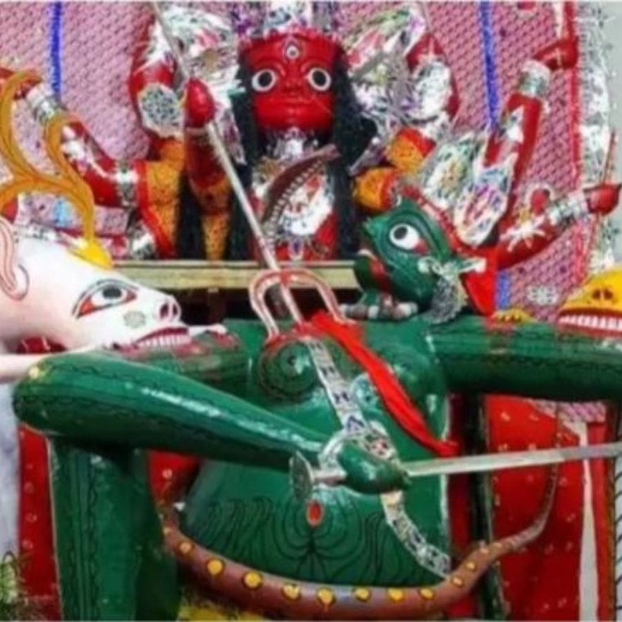 সংগৃহীত চিত্র।