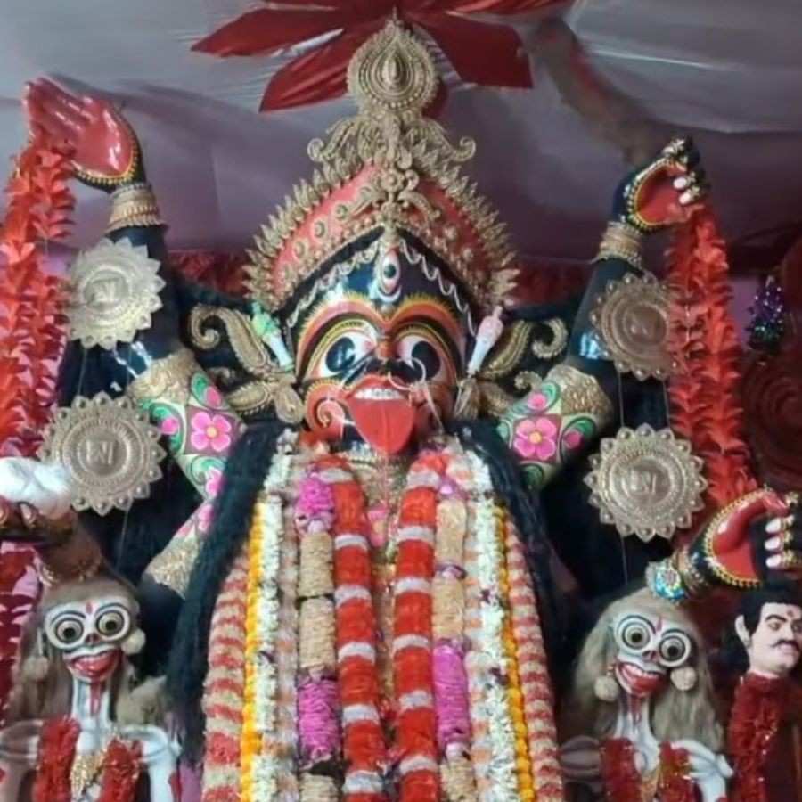 সংগৃহীত চিত্র।