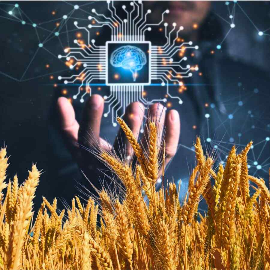 Banaras Hindu University will engage PhD and post graduate degree holders for the post of RA and JRF Dgtl