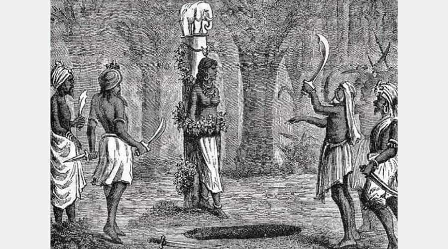 পূজারী কুমারীকে পুজো দিলে, সবাই মিলে শুরু করতেন নরবলির উদাত্ত নাচ। 