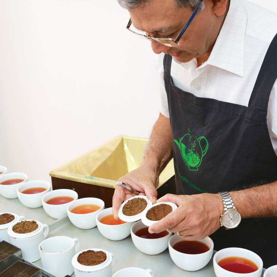 Government introduces two new skill courses on Tea Tasting, know how to become a Tea Taster dgtl