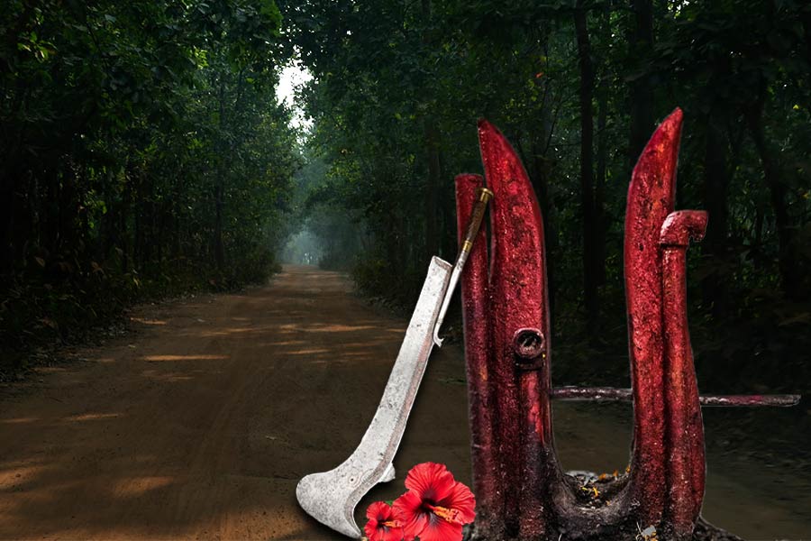 বলির পর সেই কুমারীর হৃদপিণ্ড উৎসর্গ করে পুরোহিত দেবীর কাছে জানতে চাইতেন যে তিনি তুষ্ট হলেন কিনা। 