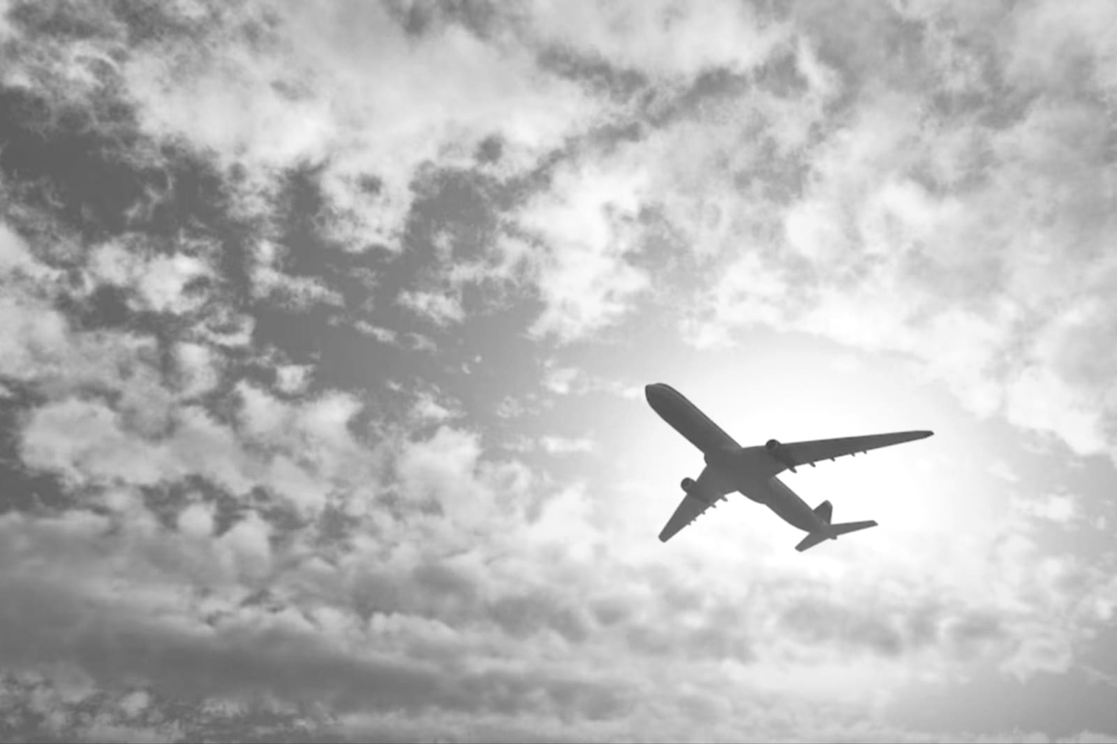 কী এর বিশেষত্ব? কে আছেন এই বিমানে? মানুষ তো আছেনই। সঙ্গে রয়েছেন এক বিশেষ জনও। বিমান দাঁড়াল, মানুষ নামলেন, সঙ্গে নামলেন তিনিও। 