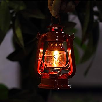 হ্যারিকেন টুনি বাল্ব: ঐতিহ্যবাহী হ্যারিকেনের আদলে এই টুনি বাল্বগুলি তৈরি। এগুলি দেখতে ভিনটেজ হলেও আলোর জেল্লা আধুনিক। বাজারে এর চাহিদা খুব বেশি। এই আলো আপনার বাড়িতে পুরোনো দিনের আমেজ নিয়ে আসবে।