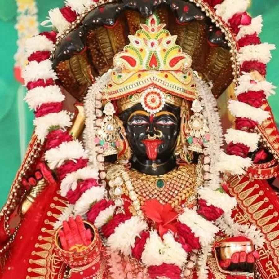 সংগৃহীত চিত্র।