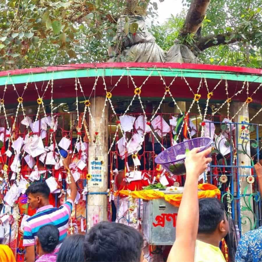  পরে অবশ্য পুজোর ভার ওঠে গ্রামের রায় পরিবারের হাতে। কথিত, আগে এই পুজো হত পঞ্চমুণ্ডির আসনে।