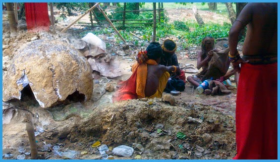 স্থানীয়রা এই খবরটি দেন গ্রামেরই এক বাসিন্দা ডম্বুর বন্দ্যোপাধ্যায়কে। তিনি গিয়ে দেখেন এক অবাক করা ছবি।