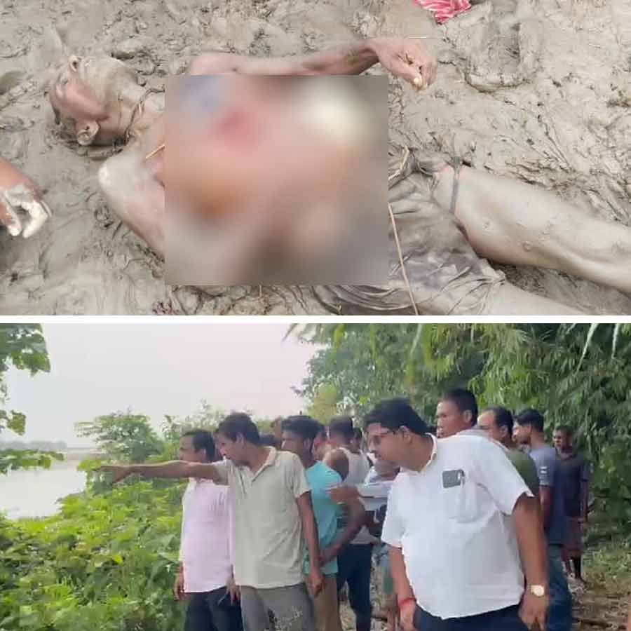 Boar Attack In Cooch Behar