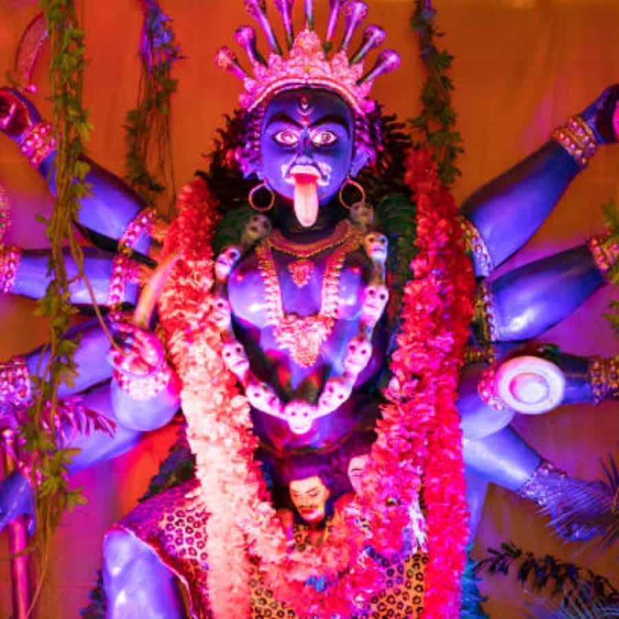 আগের বছর এখানকার দশভুজা কালী প্রতিমা সেজে উঠেছিল মৎস্যকন্যার থিমে।