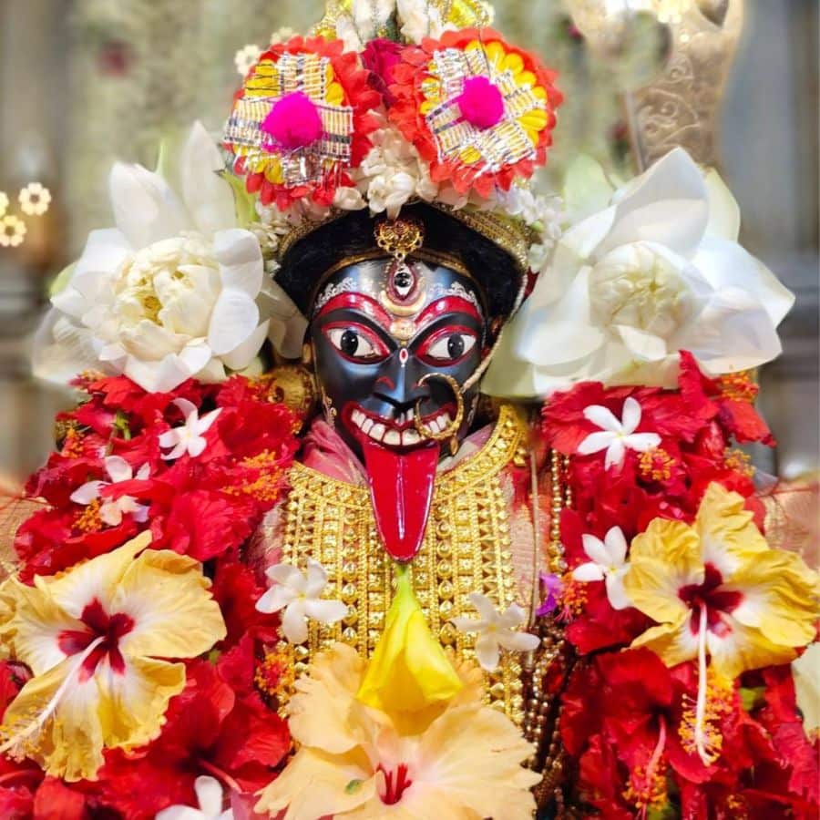 সংগৃহীত চিত্র।