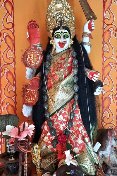 ২০০৫ সাল থেকে শ্বেতকালীর পুজো শুরু করেন এই মন্দিরের পুরোহিত মধুময় ঘোষ। 