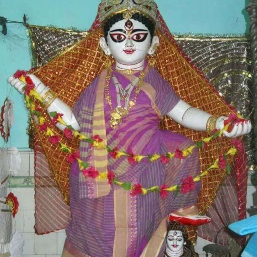 ফলে বাংলার অনেক জায়গাতেই পুজো পান শ্বেতকালী, খালি তাদের রূপ আলাদা। (এই প্রতিবেদনটি ‘আনন্দ উৎসব’ ফিচারের একটি অংশ।)