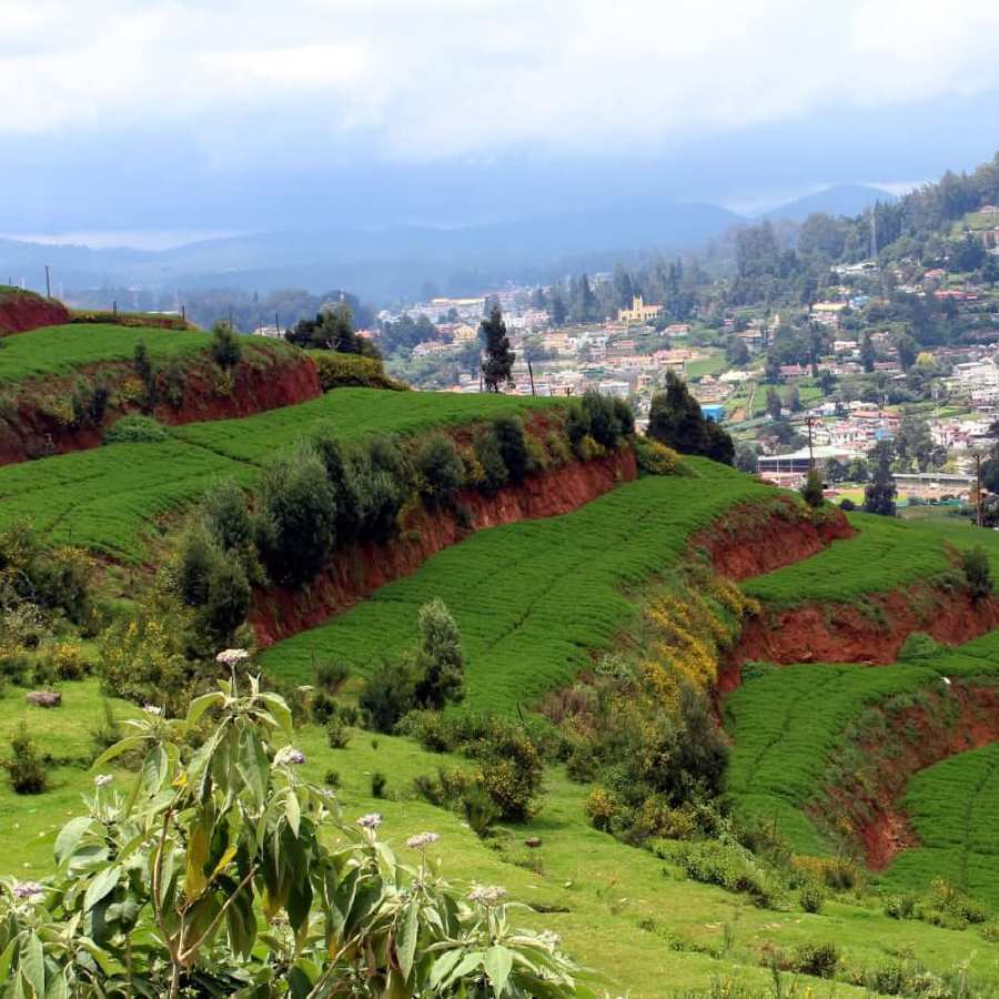 পাহাড়ি শহর উটি।
