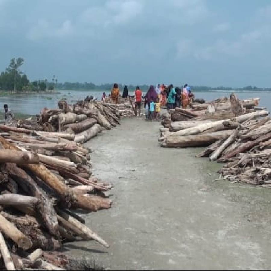 বাংলাদেশের নদীতে ভেসে এল প্রচুর গাছের গুঁড়ি, কাঠ।
