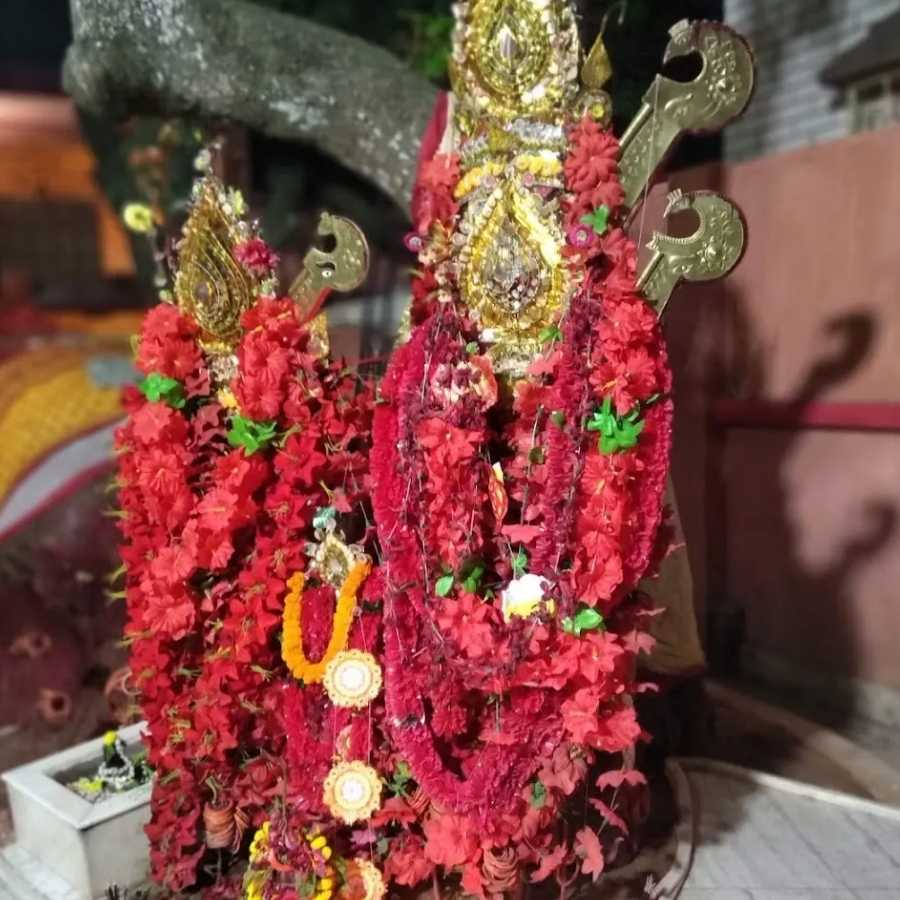 কালী পুজো এখন দোরগোড়ায়। আর সেই উৎসবের আগেই নতুন করে আলোচনায় কাটোয়ার ‘ঝুপো কালী’। এখানে দেবী রূপে পূজিত হয় একটি নিম গাছ! ৩০০ বছরেরও বেশি পুরনো এই নিম গাছের ইতিহাস যেমন অদ্ভুত, তেমনি টানটান রোমাঞ্চে ভরা।