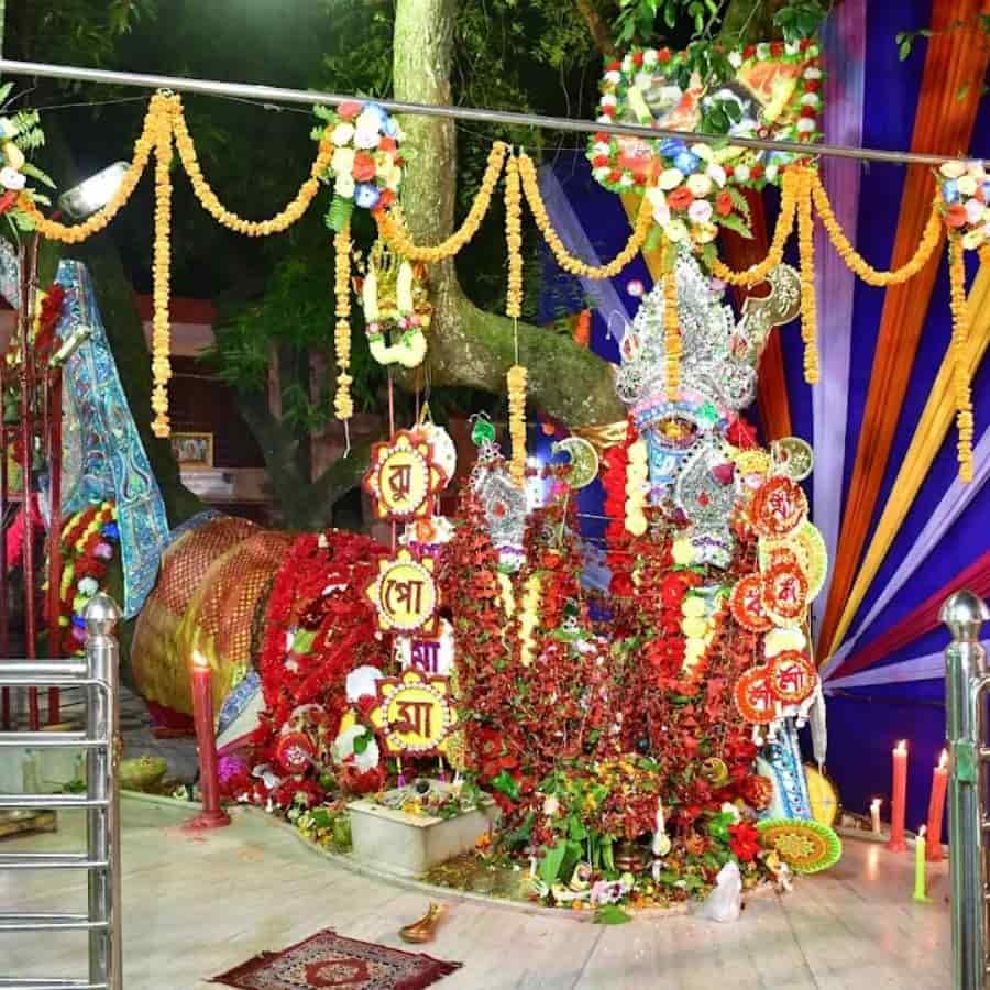 শোনা যায়, তারাই এই নিম গাছকে শক্তির প্রতীক কালী রূপে প্রতিষ্ঠা করে। ডাকাতি করতে বের হওয়ার আগে, এই দেবীর কাছেই নতজানু হত তারা। 