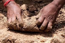  এ ক্ষেত্রেও রয়েছে বিশেষত্ব। তিন প্রকার মাটি মিশিয়ে গড়া হয় এই পুজোর প্রতিমা।