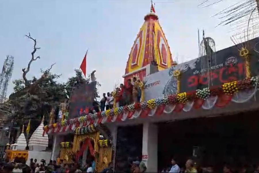  পুলিশের তরফে ভিআইপি-দের নিরাপত্তা জোরদার করার কথা বলা হলেও মূল লক্ষ্য থাকবে পুজো সুষ্ঠুভাবে সম্পন্ন করা। পুলিশ কমিশনার জানিয়েছেন, নজরদারির জন্য পর্যাপ্ত সিসি ক্যামেরা এবং ড্রোনের ব্যবস্থাও করা হচ্ছে।