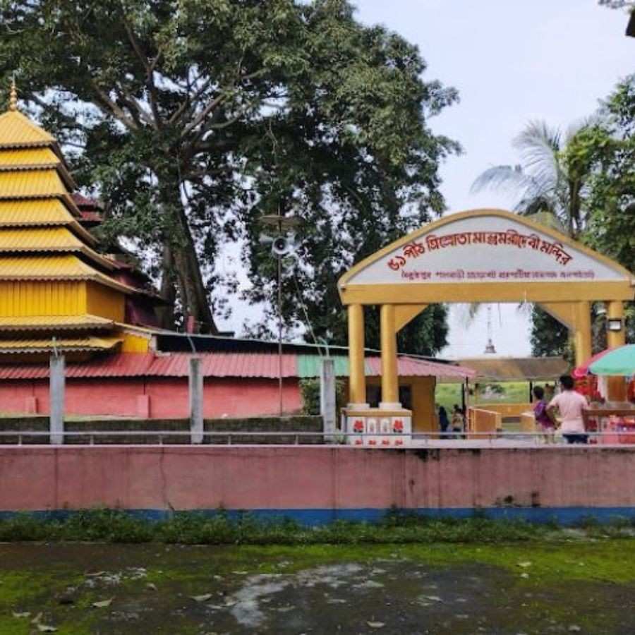 সংগৃহীত চিত্র।