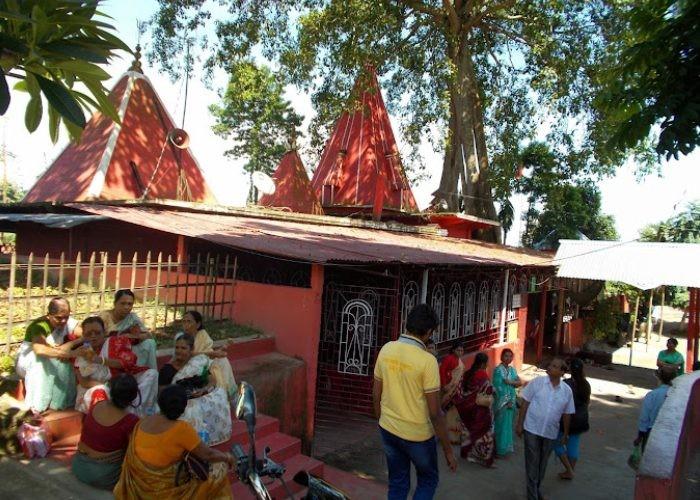 ভ্রমরের রূপ ধারণ করে অসুরকে বধ করেছিলেন দেবী! ভ্রমরের এই বিশাল বাহিনীর নেতৃত্ব দেওয়ার জন্যই দেবী ভ্রমরী নামে পরিচিত হন তিনি। দেবী এখানে শুধু রক্ষাকারী নন, তিনি হলেন 'মৌমাছিকুলের মাতা'। এই কাহিনিই এই মন্দিরের প্রধান লোককথা।