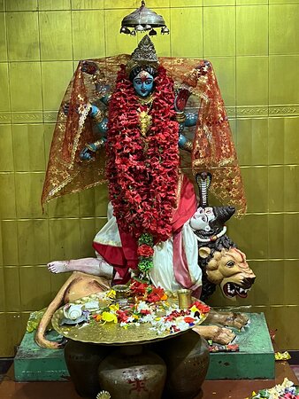 ভক্তদের বিশ্বাস, ভ্রমরী দেবী তাঁদের সব ইচ্ছা পূরণ করেন। ভক্তরা বিশেষত ধন-সম্পদ, সুস্বাস্থ্য এবং মোক্ষলাভের জন্য এখানে প্রার্থনা করেন। স্থানীয় বিশ্বাস অনুসারে, দেবীর চক্রে (পদ্মাকৃতির) আরোগ্য বা নিরাময়ের ক্ষমতা আছে। ডুয়ার্সের প্রকৃতির মাঝে এই মন্দির এক আধ্যাত্মিক শান্তির ঠিকানা।  (এই প্রতিবেদনটি ‘আনন্দ উৎসব’ ফিচারের একটি অংশ)।