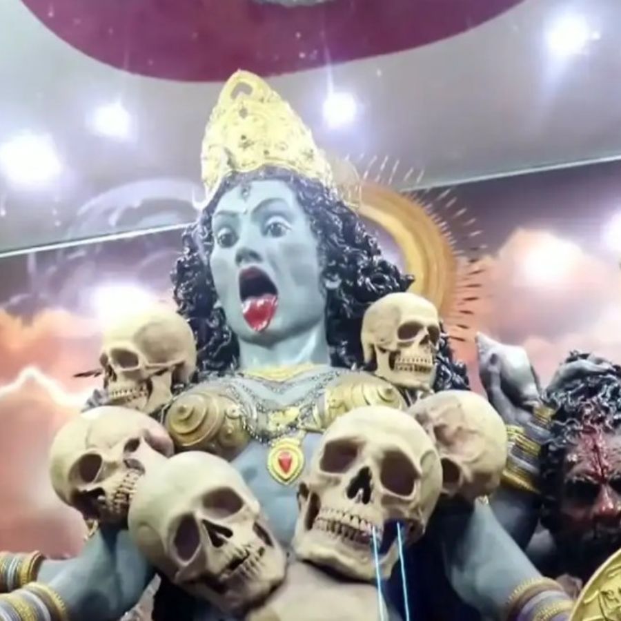 সংগৃহীত চিত্র।