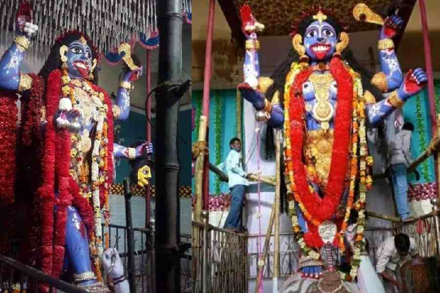 অনেক দেরি। সবে শীত পড়তে শুরু করেছে। অত দিন কী আর অপেক্ষা করা যায়!