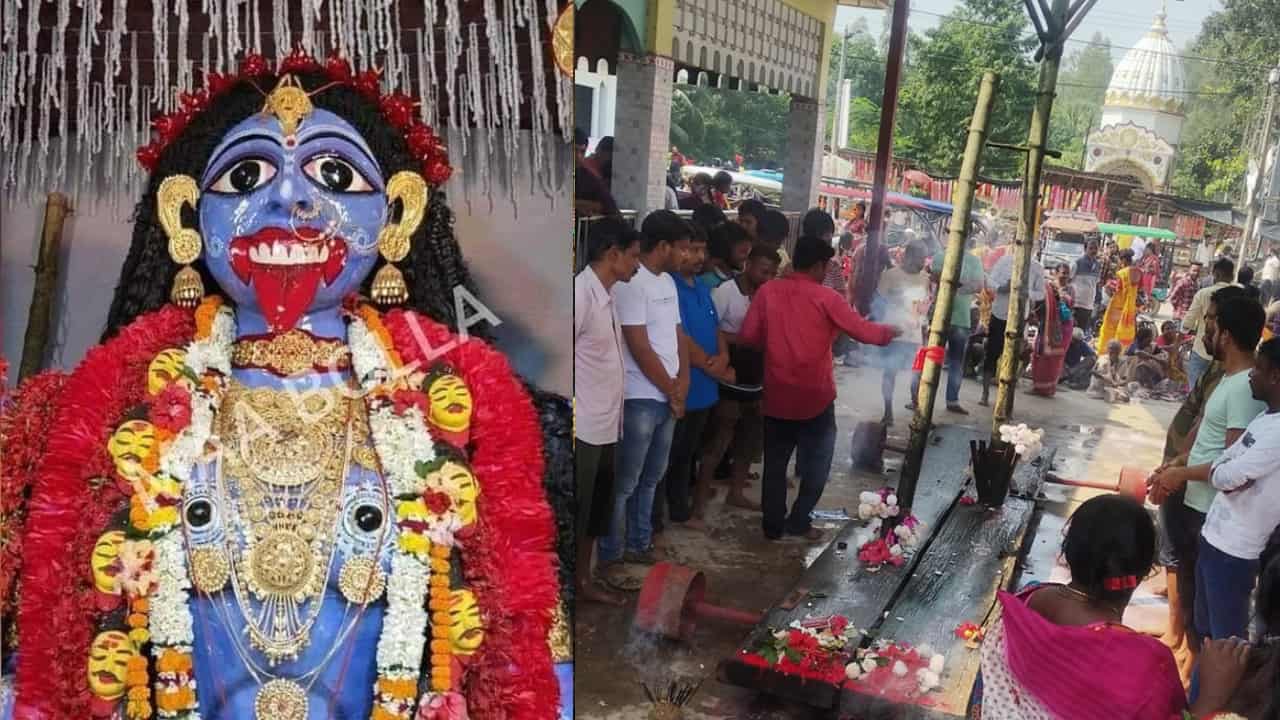 রাসপূর্ণিমার পরবর্তী শুক্রবার। দেবীর মহাপুজো। আনুমানিক ৪-৫ লক্ষ মানুষের সমাবেশ হয়। (এই প্রতিবেদনটি ‘আনন্দ উৎসব’ ফিচারের একটি অংশ।)