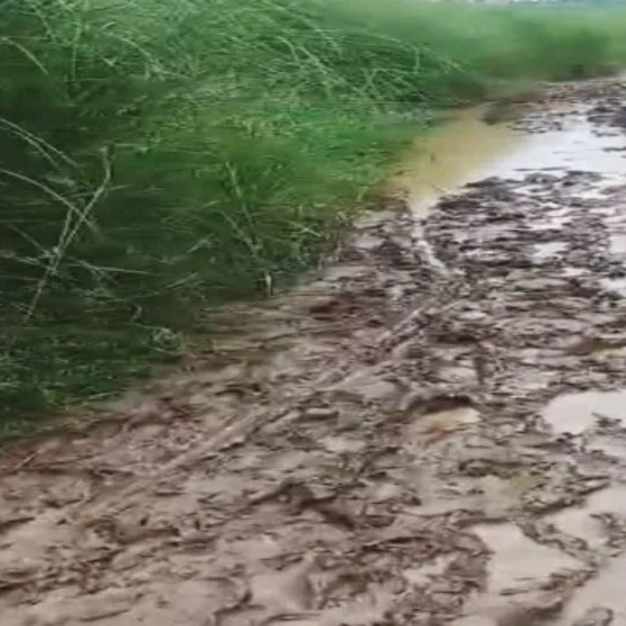 ।। গাথা।। দেবীর প্রতিষ্ঠা নিয়ে একটি একশো বছরেরও পুরনো ভাষ্য পাওয়া যায়। কালিকাপুরের অদূরে কুমরি নদী (অধুনা শীর্ণ কুমরির বিল) তীরে কুমরি গ্রাম। 