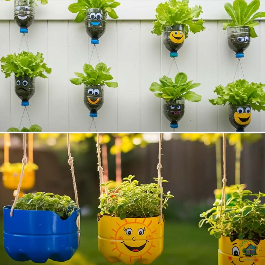 বোতল দিয়ে নানা ভাবে সাজিয়ে তোলা যায় বাগান।