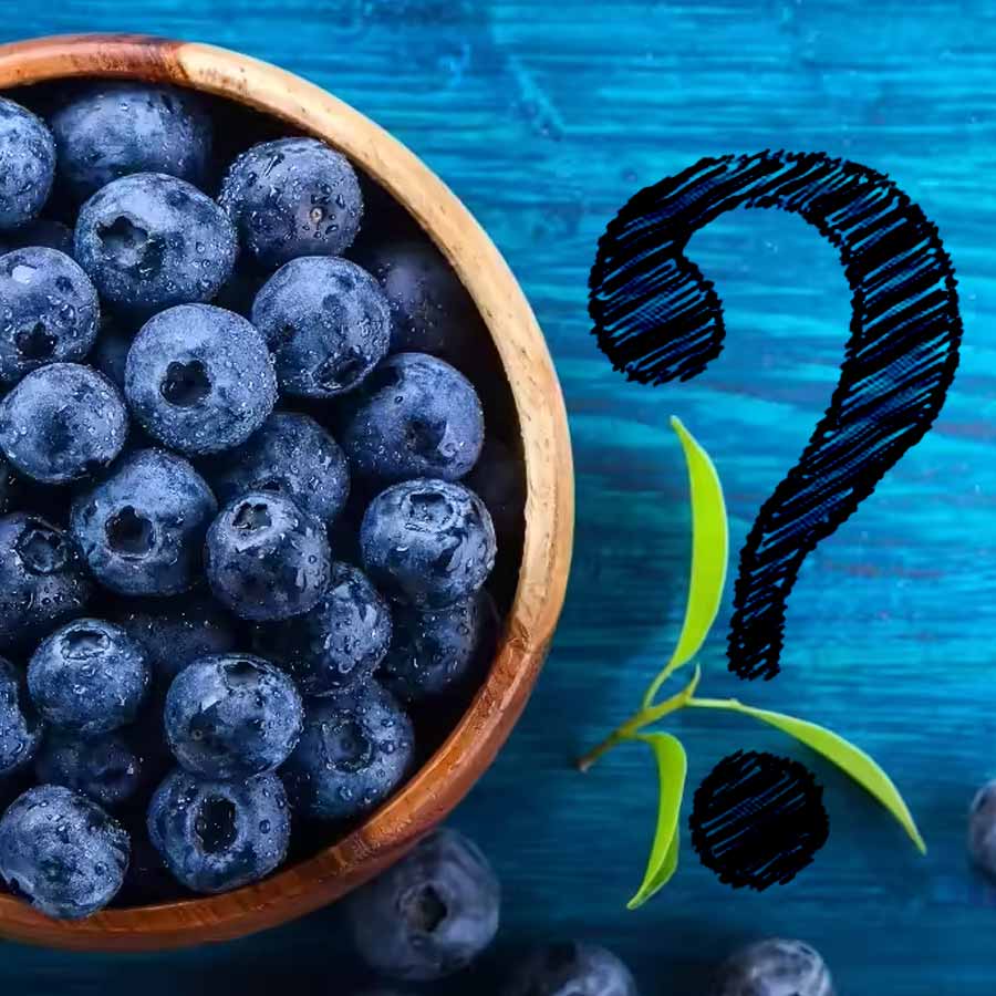 ব্লুবেরিকে টেক্কা দেবে চেনা ফলই। কী সেটি?