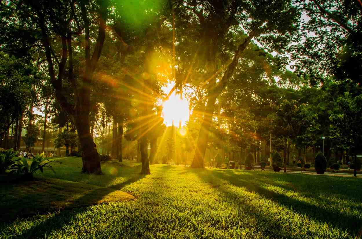 ঔপনিবেশিক ইতিহাস ও সমাধি: তাও দান পার্কের ইতিহাসের শুরুটা ফরাসি উপনিবেশিক শাসনকালে। ১৮৬৯ সালে এই পার্কটিকে গভর্নরের প্রাসাদের অংশ থেকে আলাদা করা হয়। পার্কের ভিতর রয়েছে প্রাচীন ল্যাম পরিবারের সমাধি এলাকা। কোনও স্থানের ভিতর সমাধির উপস্থিতি প্রায়শই সেই জায়গায় ভূতুড়ে গল্পের জন্ম দেয়। আর, তাও দান পার্কও তার ব্যতিক্রম নয়।