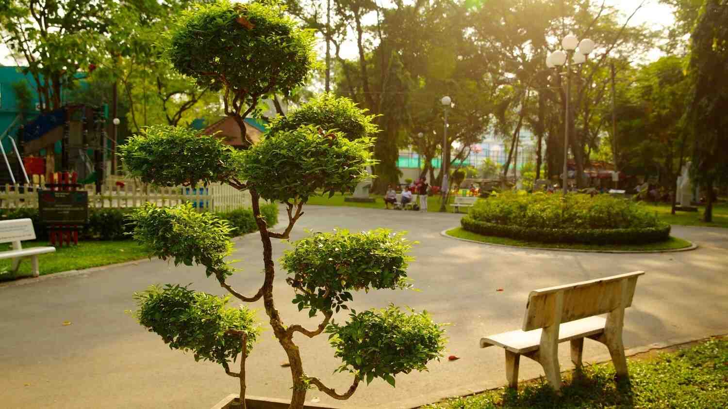 ভিয়েতনামী লোককথা: 'মা দা' এবং অতৃপ্ত আত্মা: ভিয়েতনামী লোককথায় 'মা' বা অতৃপ্ত আত্মার ধারণা অত্যন্ত প্রবল। এই 'মা' হল সেই সমস্ত আত্মা, যারা কম বয়সে অথবা অস্বাভাবিক ভাবে কিংবা হিংসার শিকার হয়ে মারা যায়। বলা হয়, তারা তাদের অপূর্ণ কাজ বা উদ্দেশ্য পূরণ না হওয়া পর্যন্ত পৃথিবীতে ঘুরে বেড়ায়। তাও দান পার্কের প্রেমিকের আত্মা এই বিশ্বাসকেই আরও জোরালো করে।