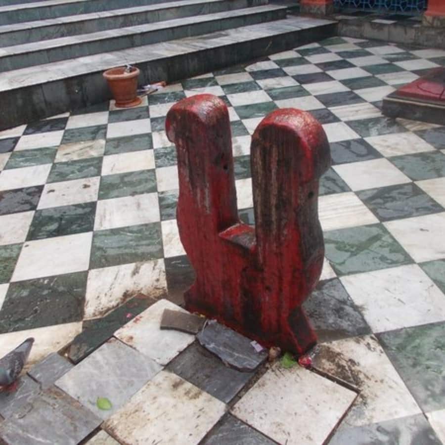 এক সময় এখানে পশুবলি হলেও, বর্তমানে শুধু ফল বলি দেওয়া হয়। রটন্তী এবং ফলহারিণী কালী পুজোতেও বিশেষ আরাধনা হয়।