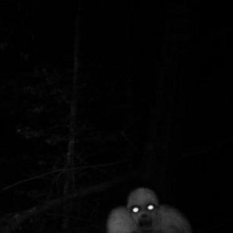 জনশ্রুতি, এক বাবা ও ছেলে রাতের অন্ধকারে সেই মন্দিরের পাশ দিয়ে বাড়ি ফিরছিলেন। হঠাৎ ছেলের চোখ গেল এক বীভৎস দৃশ্যে।