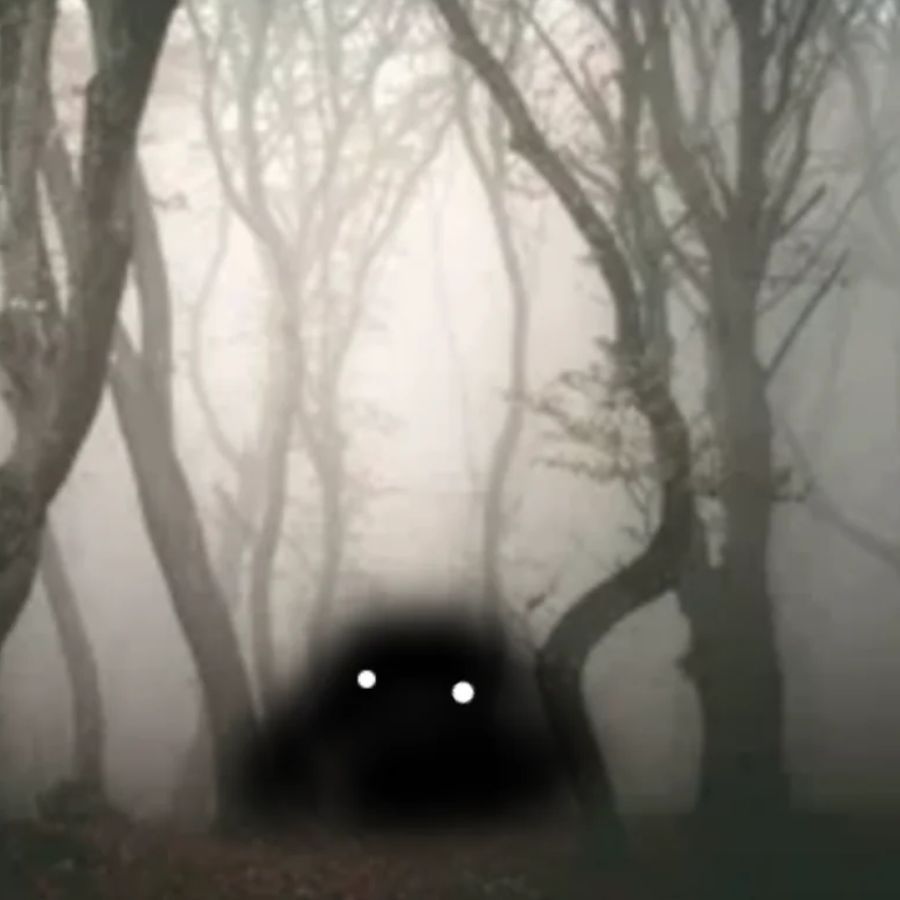 অন্ধকারের বুক চিরে শরীরবিহীন একটি মুণ্ড যেন গড়িয়ে গড়িয়ে এগিয়ে আসছে তাদের দিকে। আতঙ্কে ছেলেটি চিৎকার করে উঠতে গেলে বাবা তার মুখ চেপে ধরেন। ফিসফিস করে বলেন, “চুপ, চুপ! ওঁর আসল নাম মুখে নিতে নেই! ও হচ্ছে নিশাচর।”