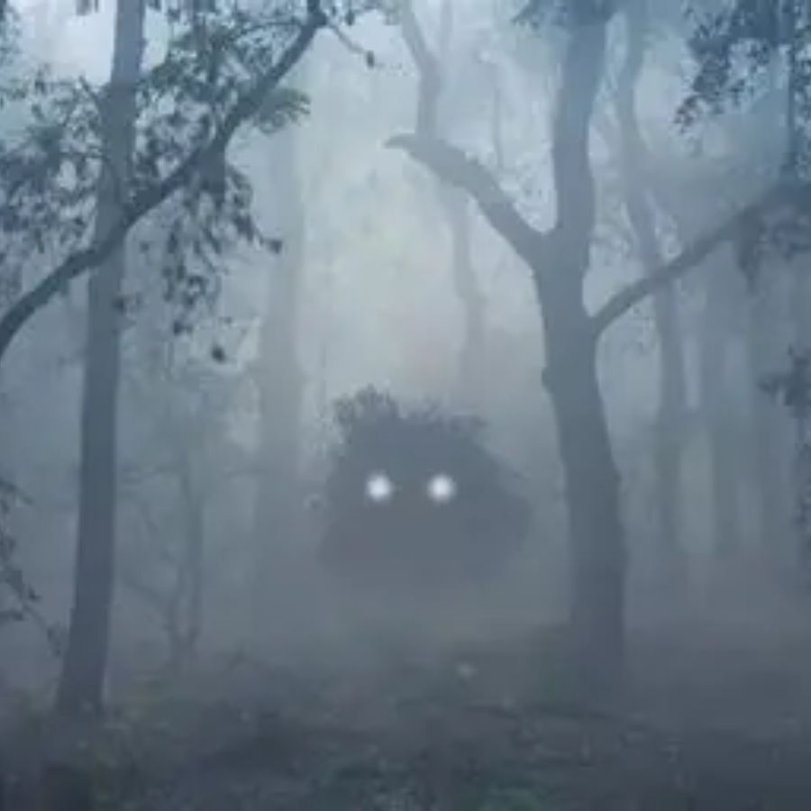 এই নিশাচর ঠাকুরের আর এক নাম নিকুন্দা, কারণ তার মাথা বা কাঁধ নেই। কেবল মুণ্ডটিই গড়িয়ে চলে। তবে কথিত, তাঁর দু’টি হাত ও দু’টি পা রয়েছে।