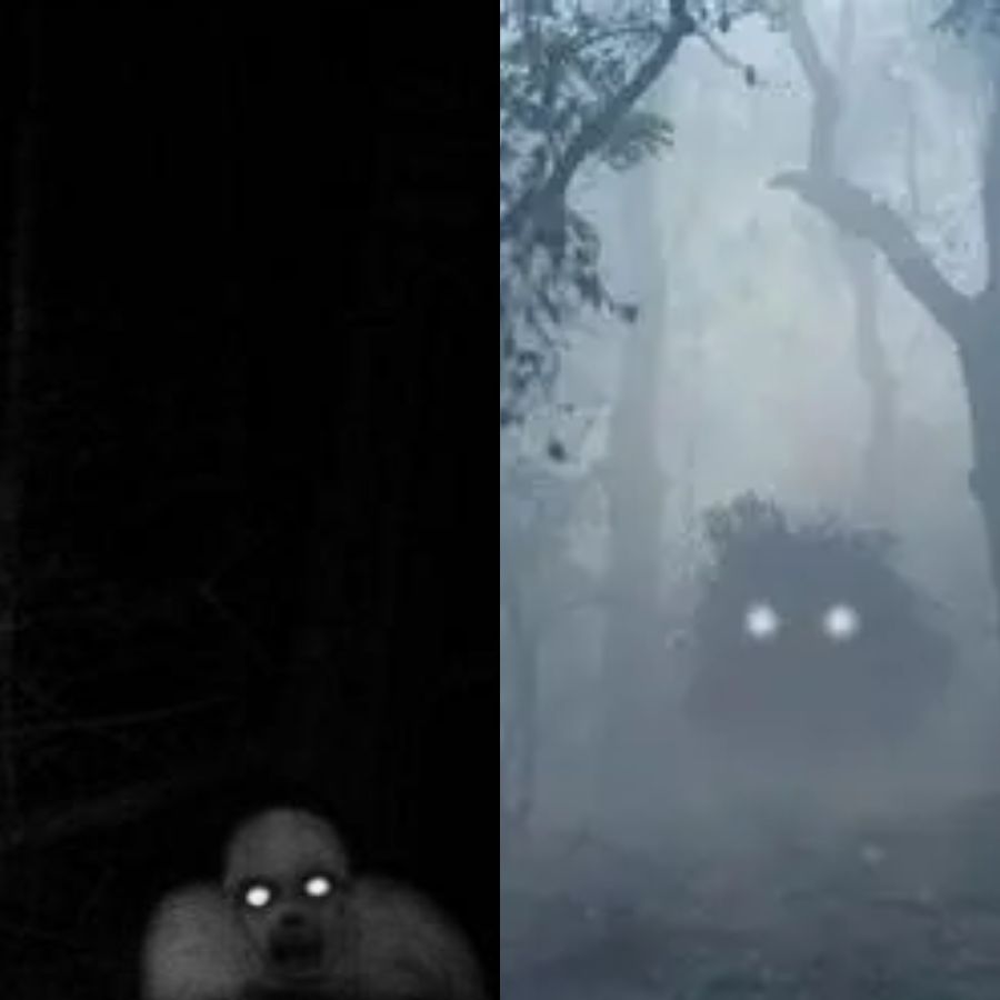 আরও বিস্ময়কর, তাঁর চোখ, নাক, মুখ দেখা যায় বুকের উপরে! 