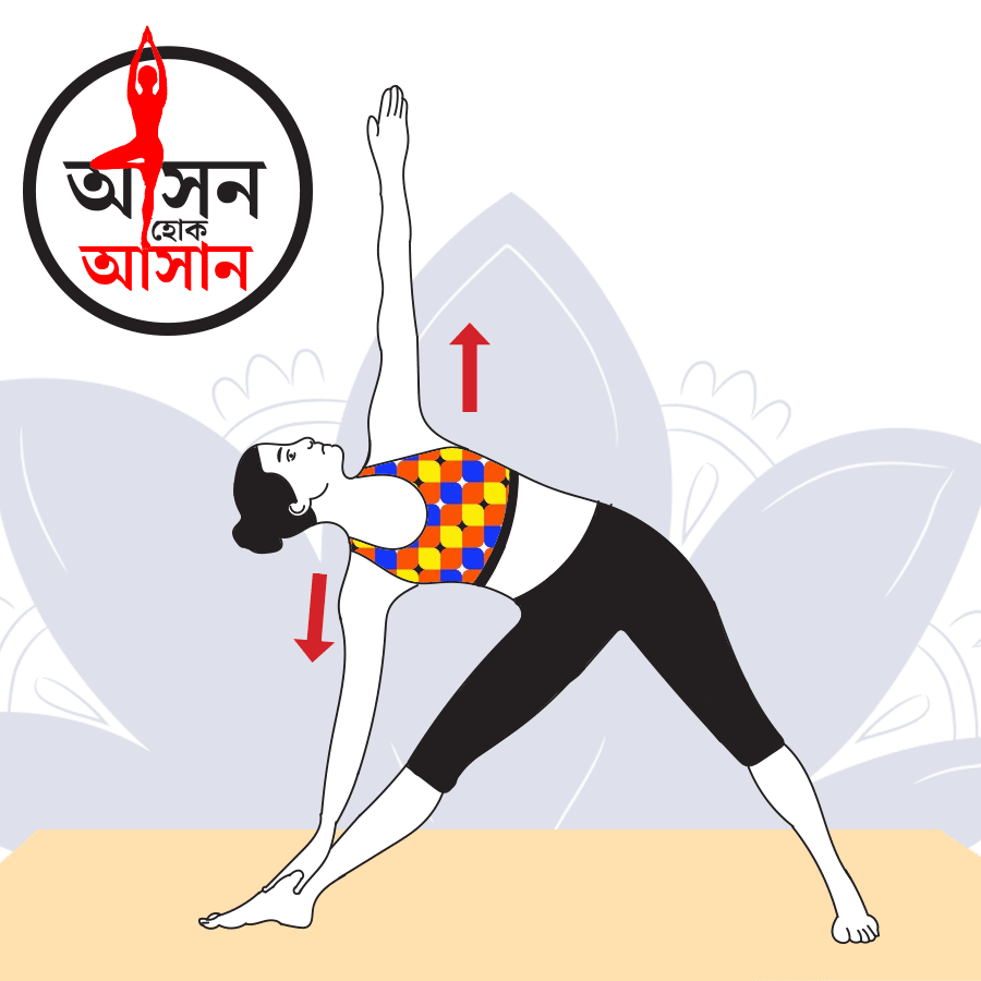 What are the health benefits of Yoga Poses dgtl