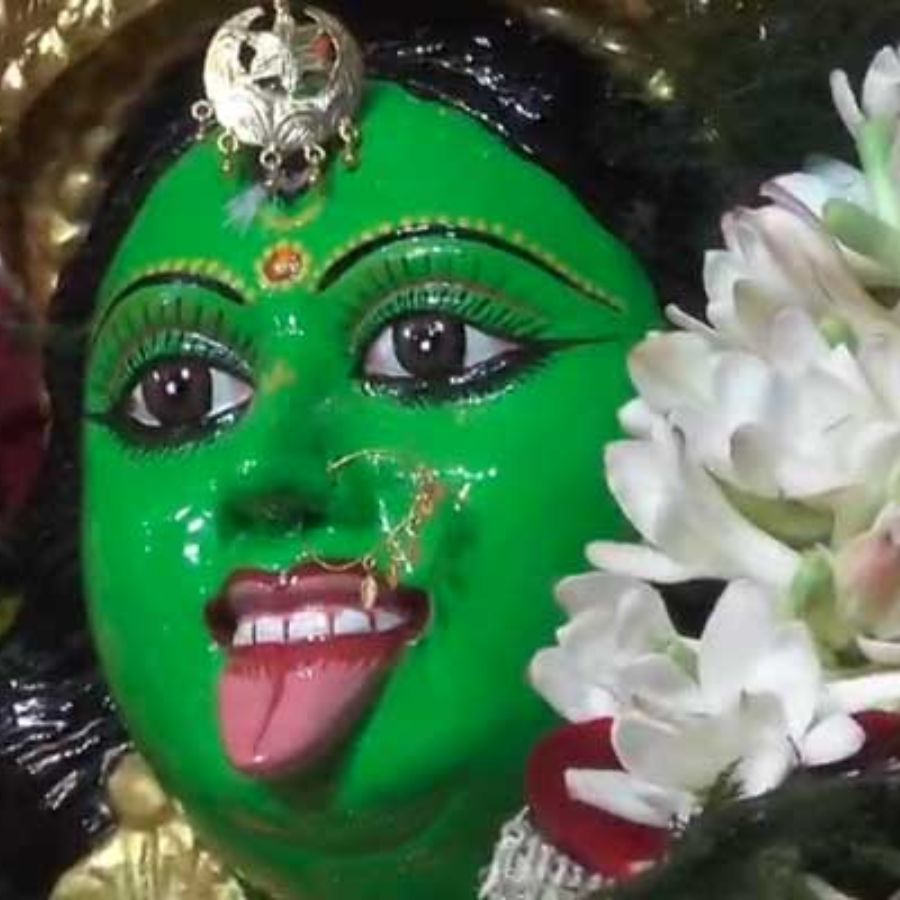 সংগৃহীত চিত্র।