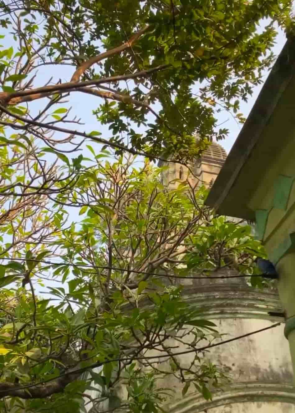 স্বপ্নে দেখা দেবীর রূপ অনুযায়ী এই ঘোমটা কালীর মূর্তি তৈরি করা হয়। 