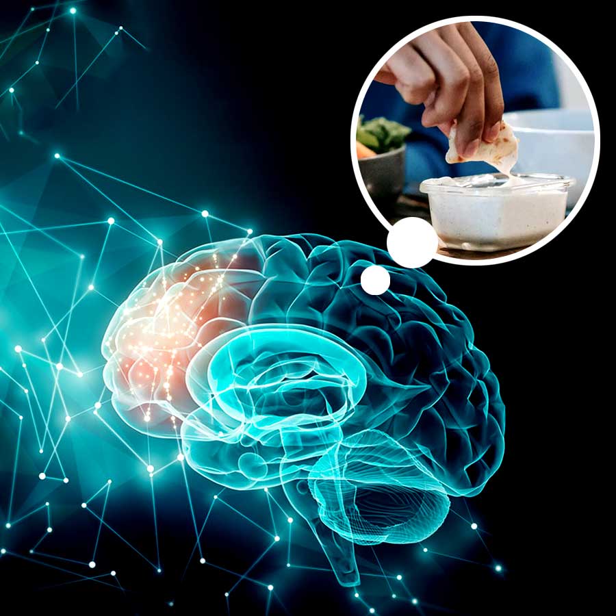 Scientists find a hidden hunger controller switch, what is it dgtl