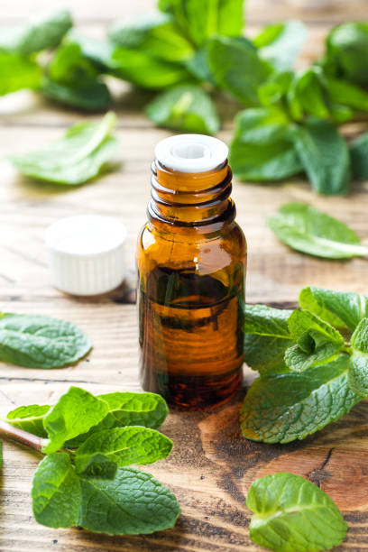 দ্বিতীয়ত, সুগন্ধি পেপারমিন্ট এসেনশিয়াল অয়েল (১০-১৫ ফোঁটা) এক বোতল জলে মিশিয়ে স্প্রে করতে পারেন। মাকড়সা এই গন্ধ একদম অপছন্দ করে। 