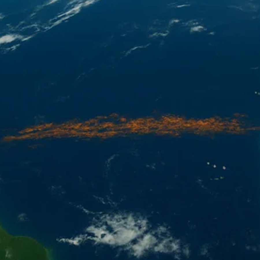 Great Atlantic Sargassum Belt